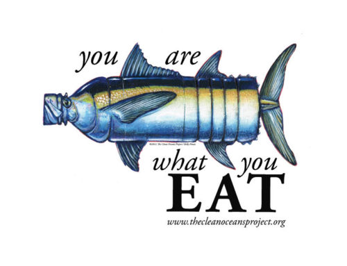 You are What You Eat